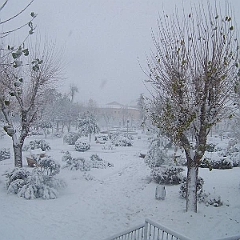 nieve 14 - 12 - 09 079